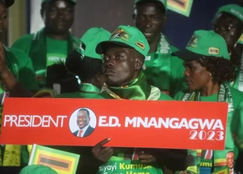 Zanu PF ready for more returnees