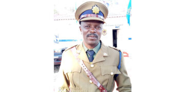 Sister kills brother, fakes suicide