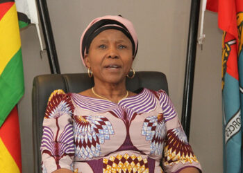 ZDF committed to producing multi-skilled cadres