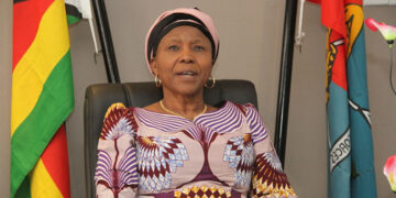 ZDF committed to producing multi-skilled cadres