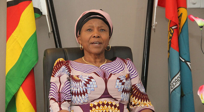 ZDF committed to producing multi-skilled cadres