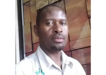 4 000 new Zesa transformers to light up more areas