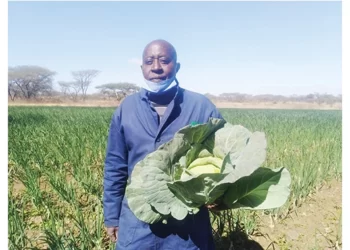 Gweru farmer scores big after UK return