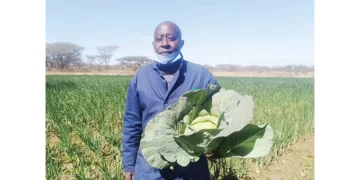 Gweru farmer scores big after UK return