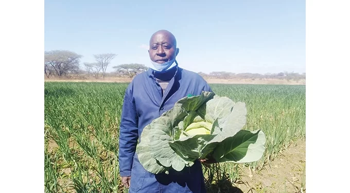 Gweru farmer scores big after UK return