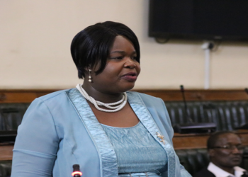 Private-public partnerships pay dividends for NRZ