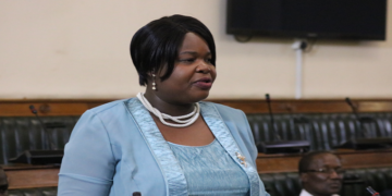 Private-public partnerships pay dividends for NRZ