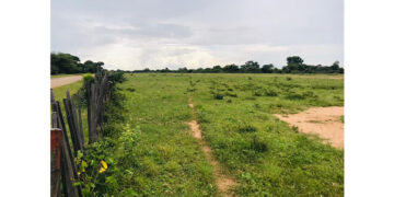 Government to start upgrading Nkayi Airstrip