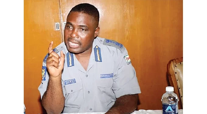 Private security firms potential criminals: Bulawayo Police