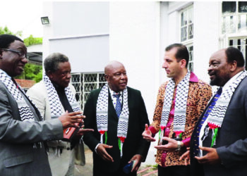 Zanu PF pledges support to Palestine