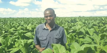 From farm worker to million-dollar farmer