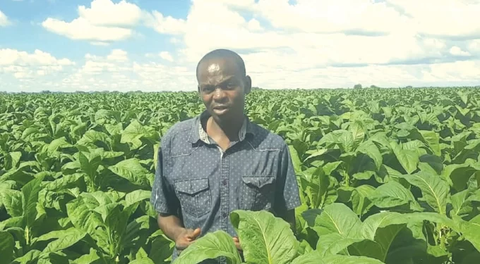 From farm worker to million-dollar farmer