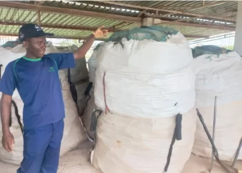 Waste collection firm motivates proper litter disposal