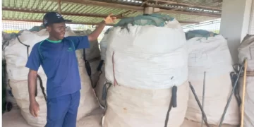 Waste collection firm motivates proper litter disposal