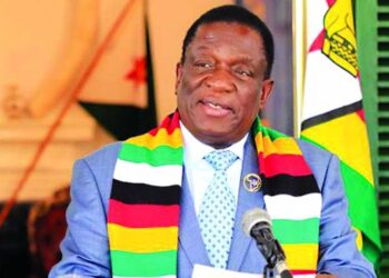 President Mnangagwa sets the temperature, puppies go to sleep