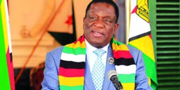President Mnangagwa sets the temperature, puppies go to sleep