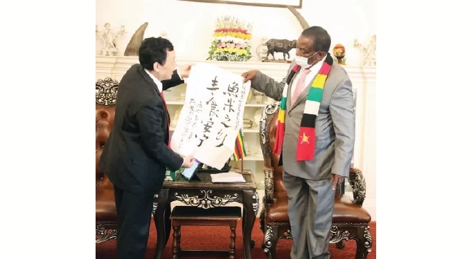 Agric transformation’s impact on livelihoods immeasurable: FAO chief