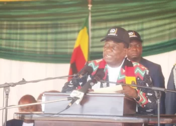 President urges youths to use their skills