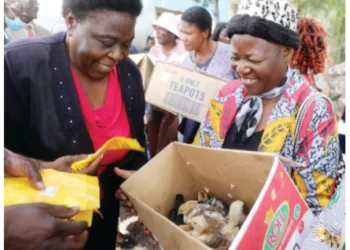 Minister launches Presidential poultry scheme in Bulawayo