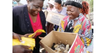 Minister launches Presidential poultry scheme in Bulawayo