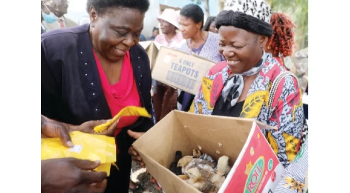 Minister launches Presidential poultry scheme in Bulawayo