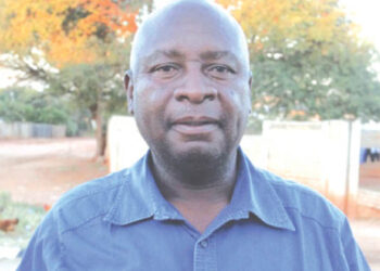 Use land productively, schools urged