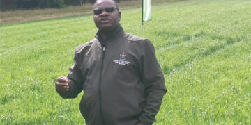 National cereal target in sight, as farmers plant over 91 pc