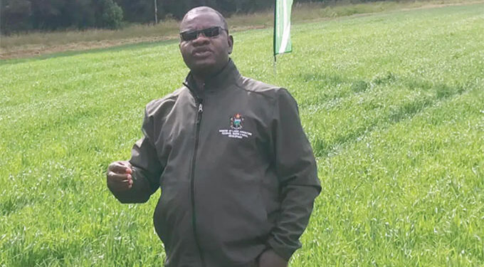 National cereal target in sight, as farmers plant over 91 pc