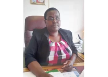 Midlands inches closer to 2030 rural electrification target