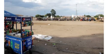 Renkini a white elephant as intercity buses shun it