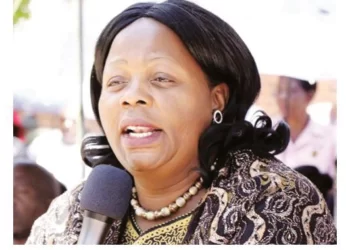 Tropical storm Freddy: Mat South identifies evacuation centres