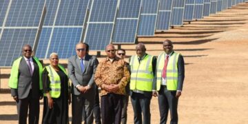 Scope for Zim, Egypt cooperation: Mudenda