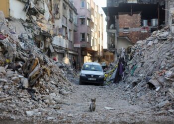 Turkey Rages At Shoddy Construction After ‘Earthquake-Proof’ Homes Topple