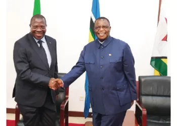 Tanzania lauds Zim’s political maturity