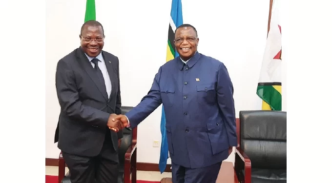 Tanzania lauds Zim’s political maturity