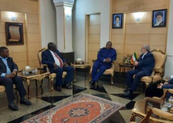 Iranian investors express interest in Zim drugs industry