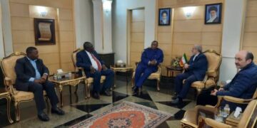 Iranian investors express interest in Zim drugs industry