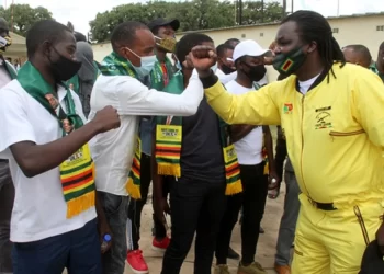 Zanu PF to garner comfortable majority: Fitch Solutions