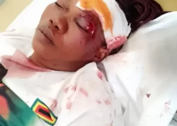 ZANU PF supporters attacked in Gokwe