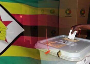 ZEC begins elections preps
