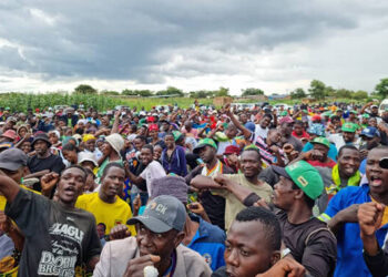 Zanu PF Youth League offers free transport for voter registration