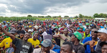 Zanu PF Youth League offers free transport for voter registration