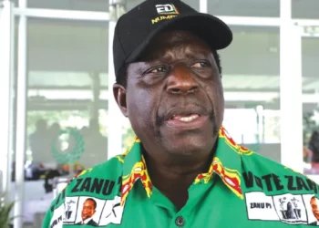Politburo members deployed to verify Zanu PF cells