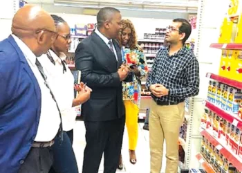 Zim firms urged to tap Malabo opportunities