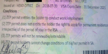 Government to assist South Africa returnees