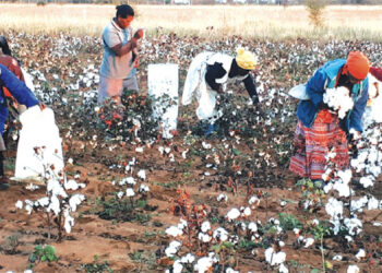 Cotton farmers to retain 85pc in forex