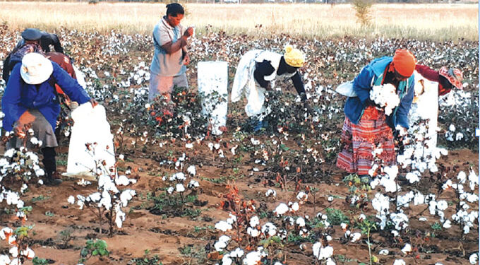 Cotton farmers to retain 85pc in forex