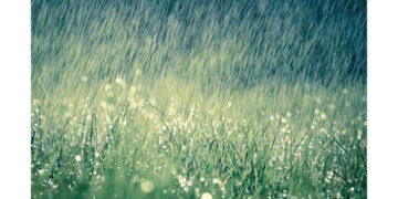 Incessant rains threaten crops