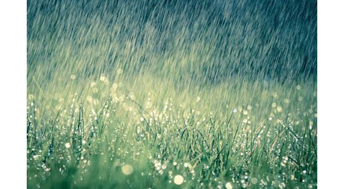 Incessant rains threaten crops