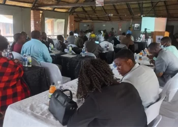Call to decentralise Matabeleland South key services